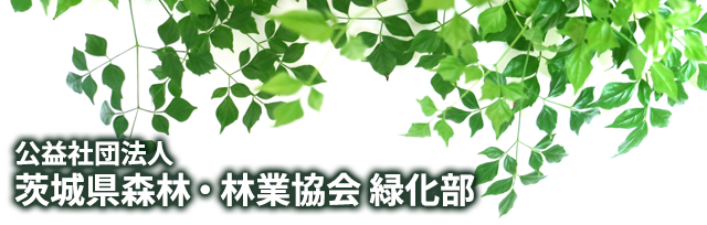 公益社団法人茨城県森林・林業協会 緑化部